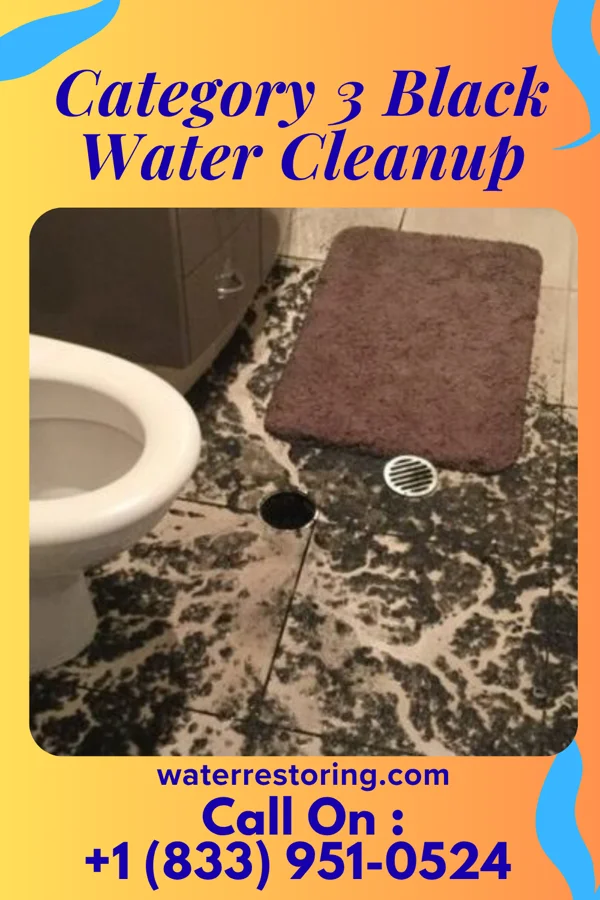 Category 3 Black Water Cleanup in Marble, MN