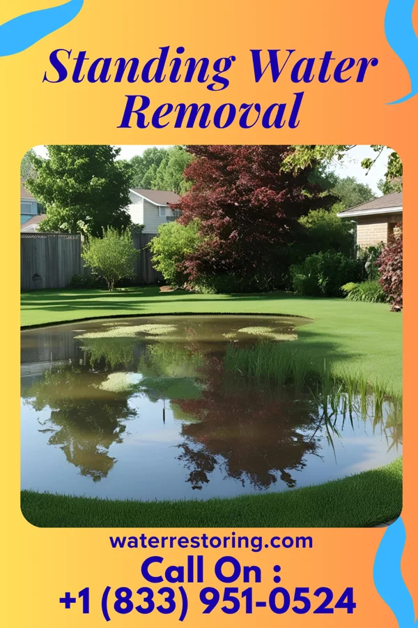 Standing Water Removal in Marble, MN